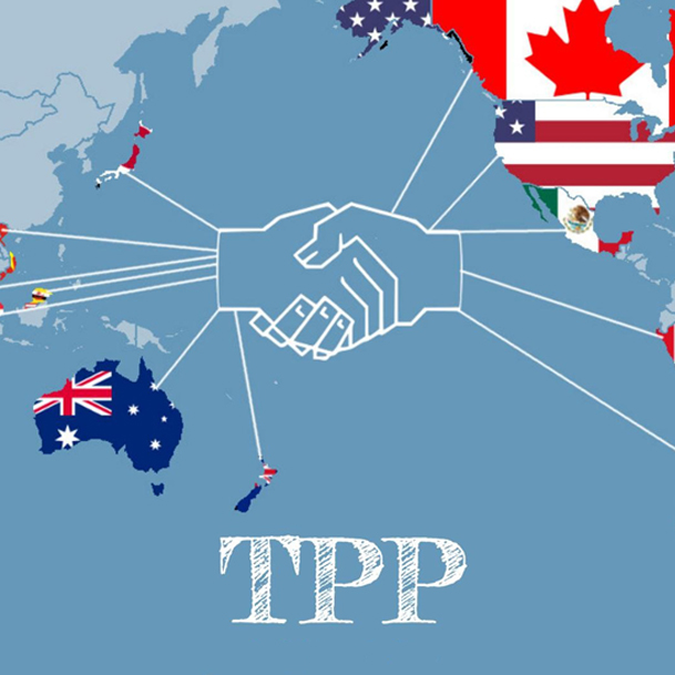 Vietnam’s TPP Patification